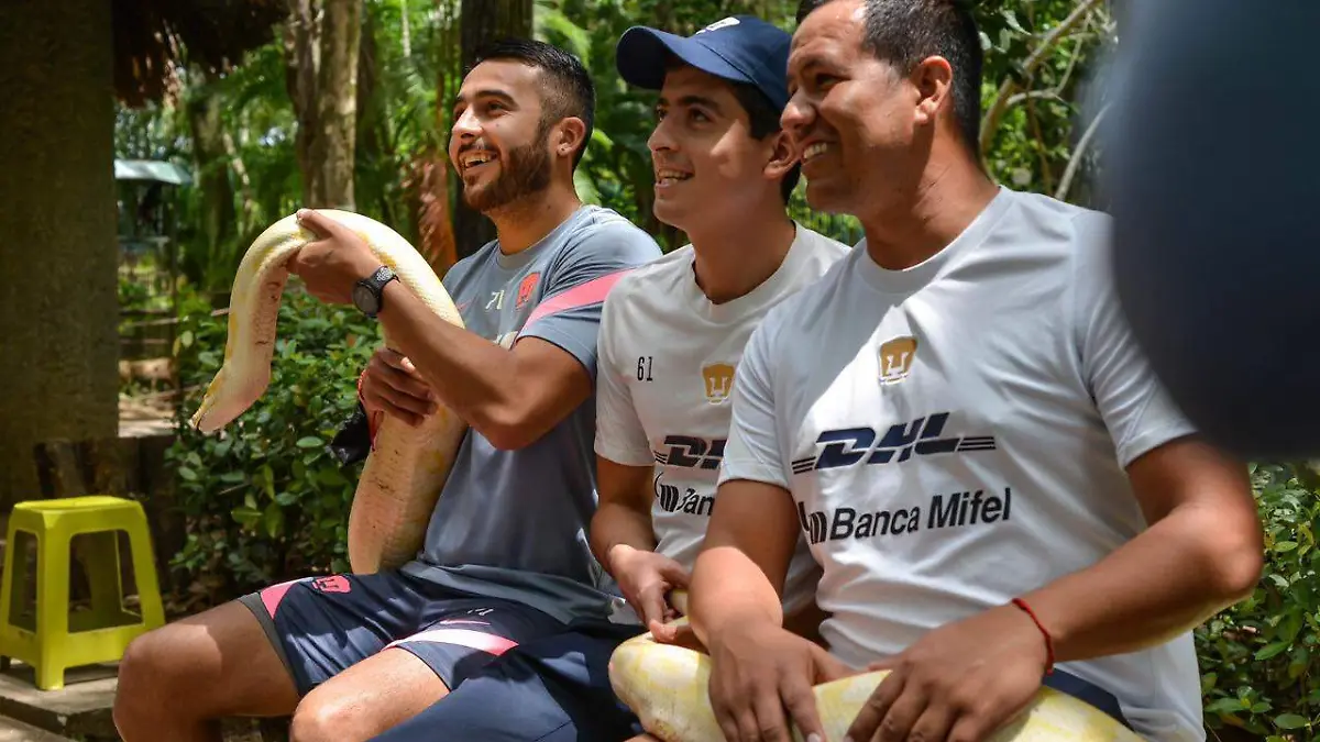 86af4014-6500-42b1-9cf6-49982041d43f