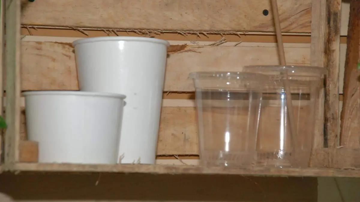 Tras Ley Anti plásticos; crece mercado de biodegradables en Tabasco