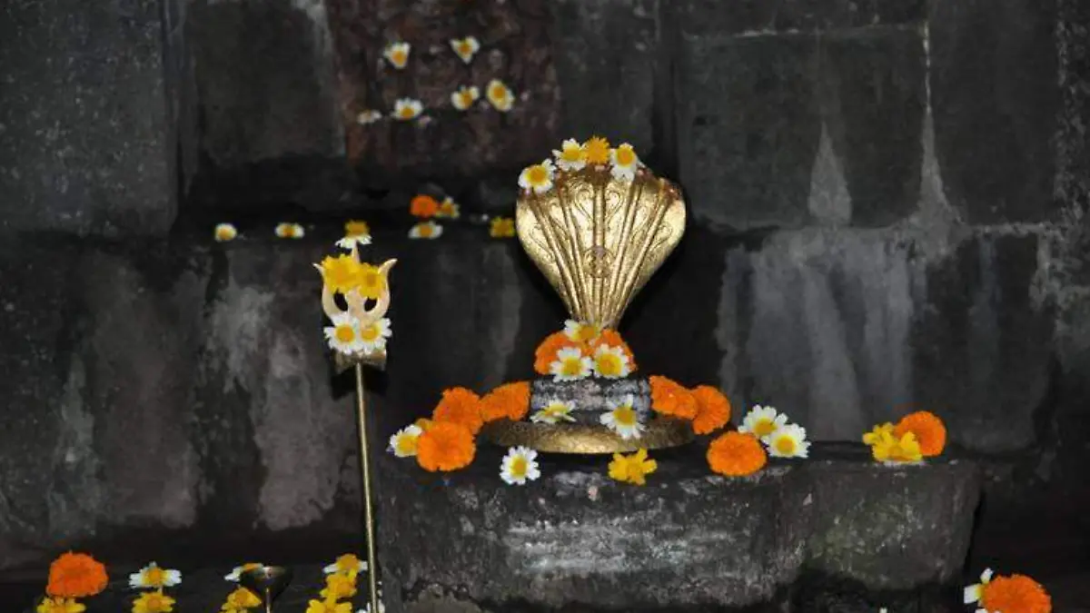 Pareja se decapita con una guillotina hecha en casa como parte de un ritual