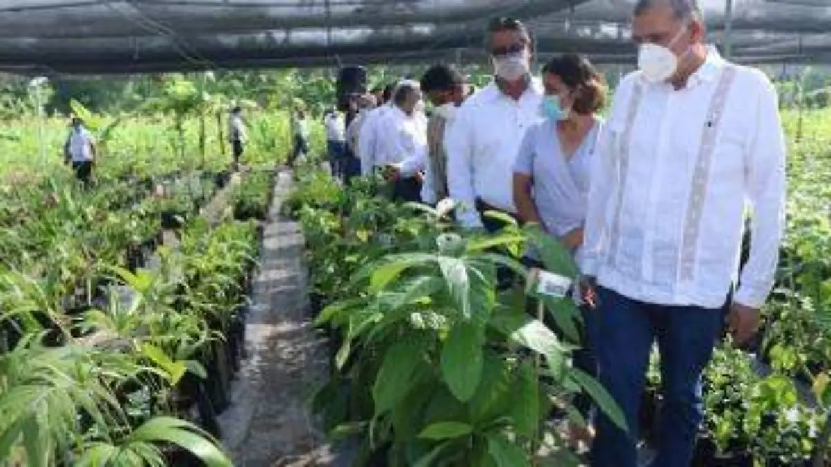 FOTO AALH SEMBRANDO VIDA EN COMALCALCO (12)