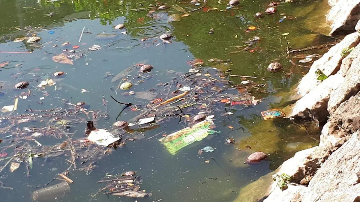 88a67101-5ec3-44d3-8242-3cd92a4348f2