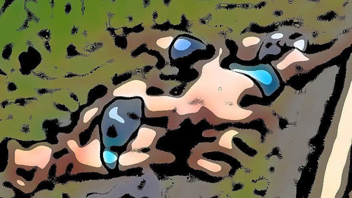 9a1a555b-7160-4cbe-b780-cdec2dd049c0