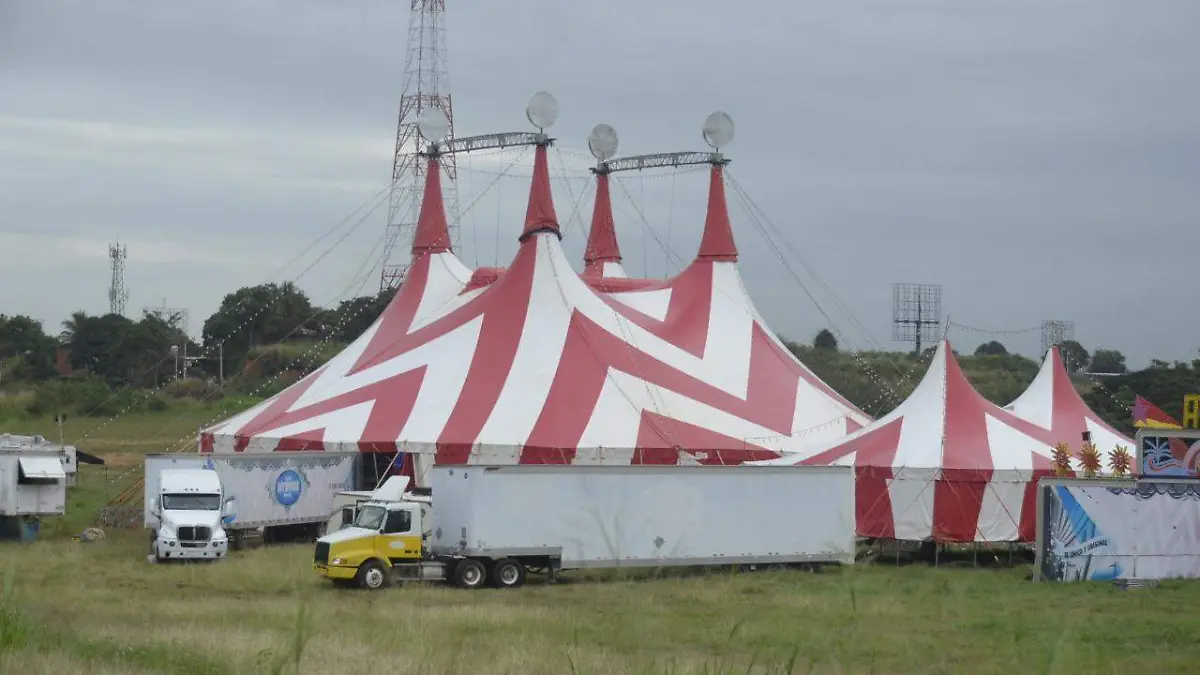 circo