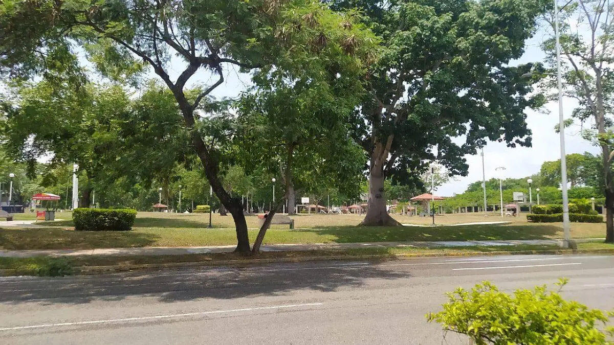 df7e56bb-11b4-47fb-aa47-d71ee84f9ee6