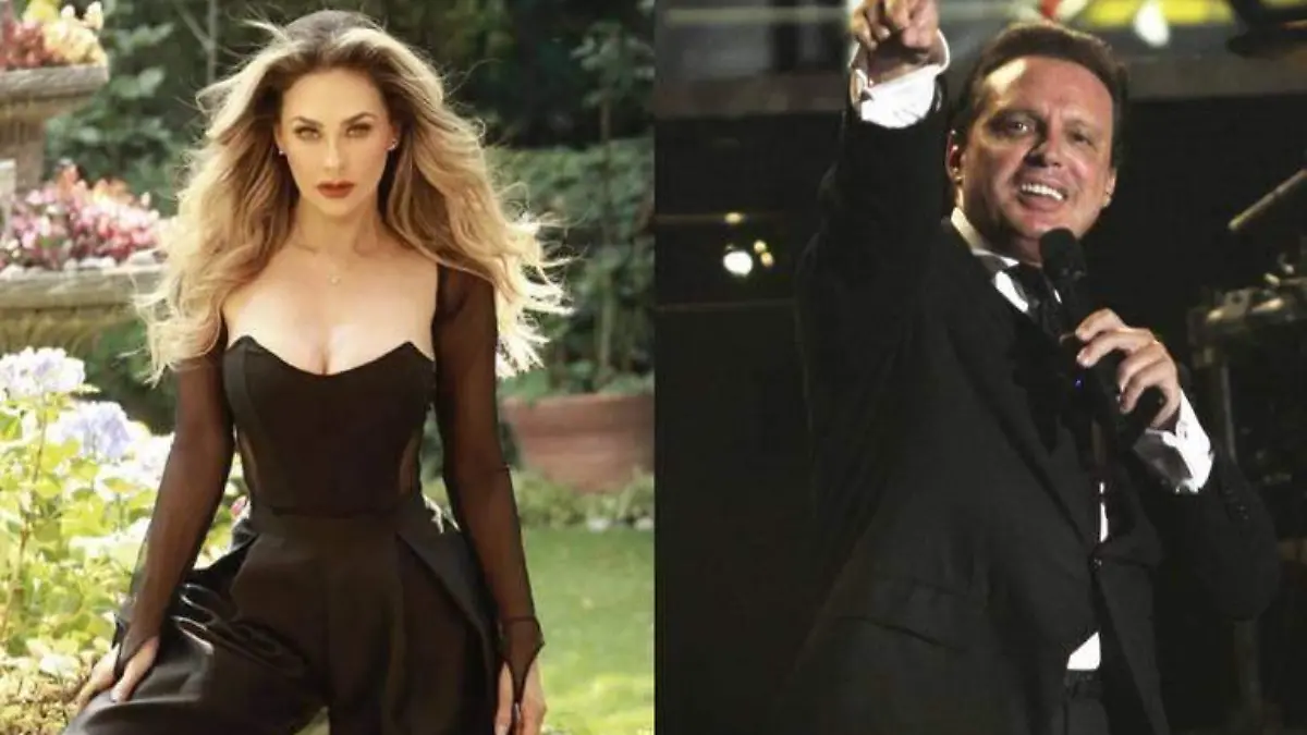 Aracely Arámbula asegura que Luis Miguel no ve a sus hijos, ni de vez en cuando
