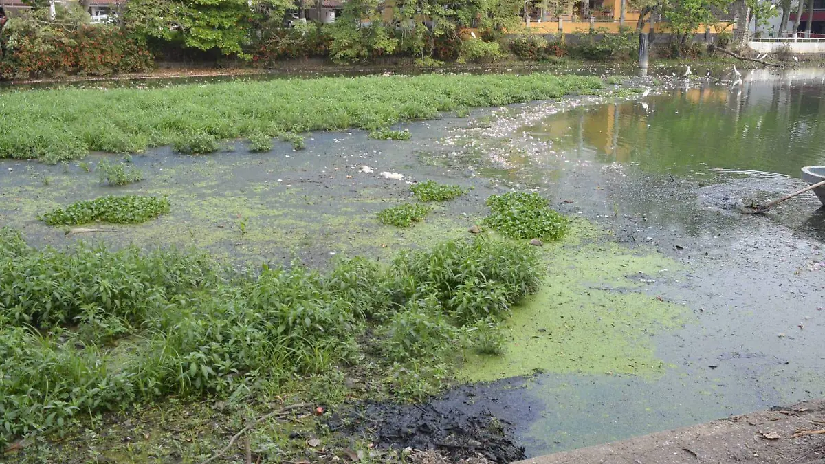 cb5504fc-0b28-4da8-8aa0-9c6e1923ee4d