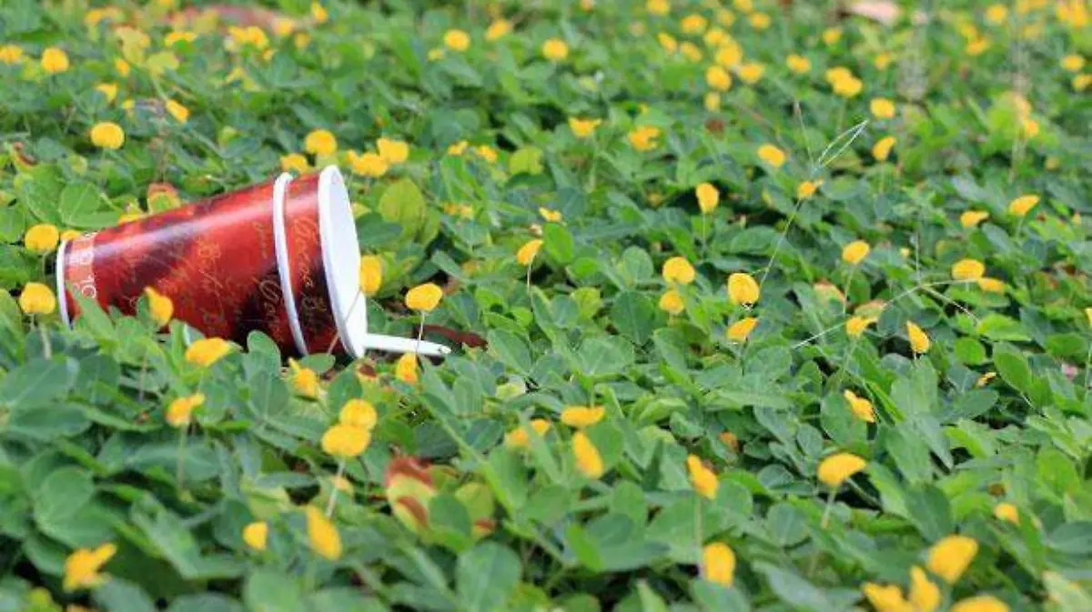 REPORTAJE-2-SIGUE-EL-USO-DE-UNICEL-Y-POPOTES-EN-TABASCO--IVAN-SANCHEZ-(4)