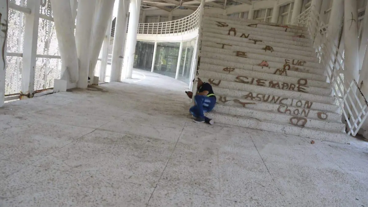 Tiene Musevi dos propuestas de negocios: Yolanda Osuna