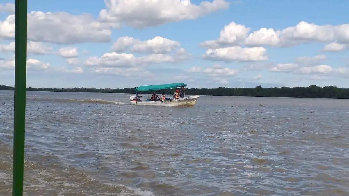 dc247576-a3a4-4073-9b5b-bbcf879f2429