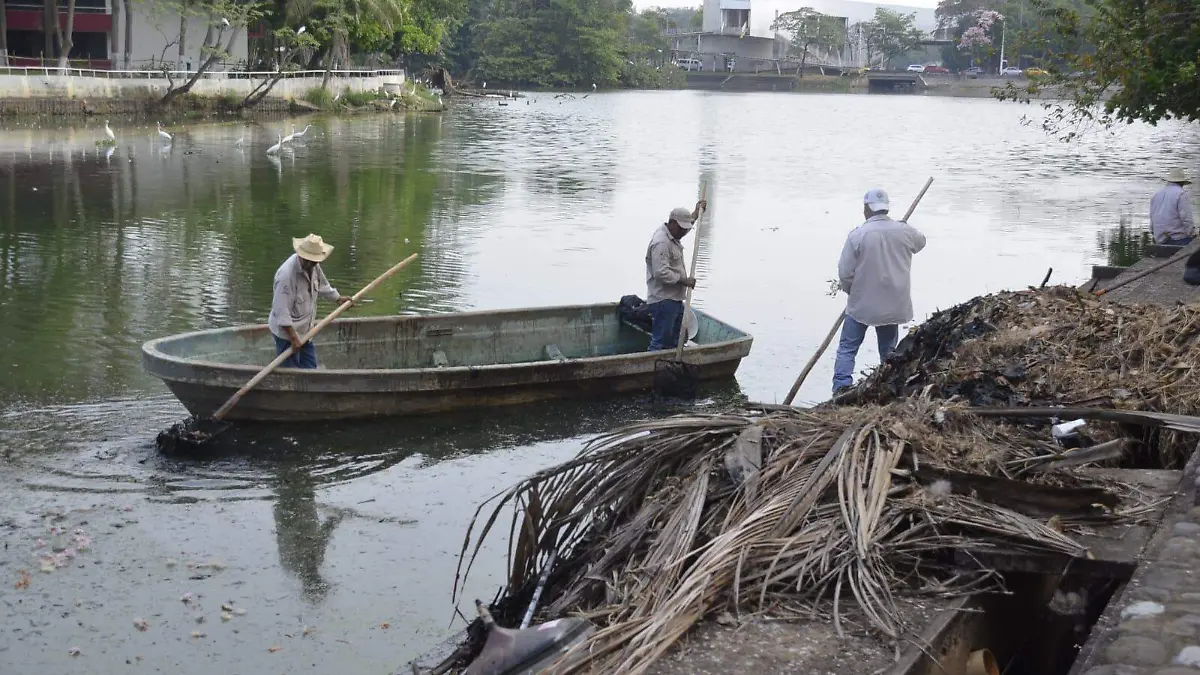 d997ad66-e541-416d-8989-a162cbe17d2b