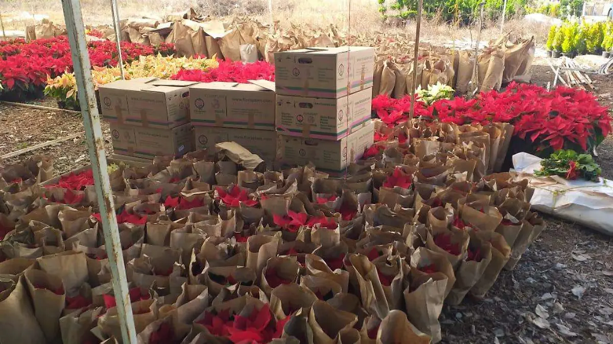 00634de8-c3aa-4b05-bd0d-63279ba067dc