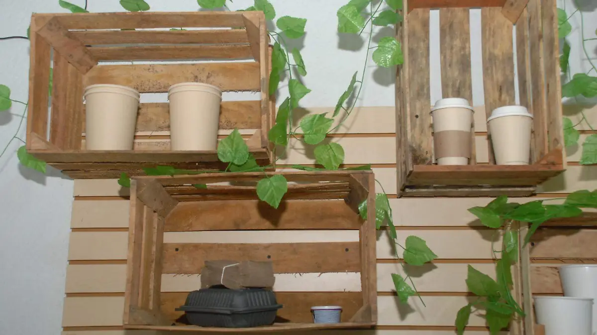 Tras Ley Anti plásticos; crece mercado de biodegradables en Tabasco