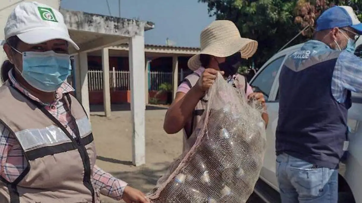 BOLETÍN 802 SALUD REALIZAN DESCACHARRIZACIÓN EN PARAÍSO 08052022 (14)