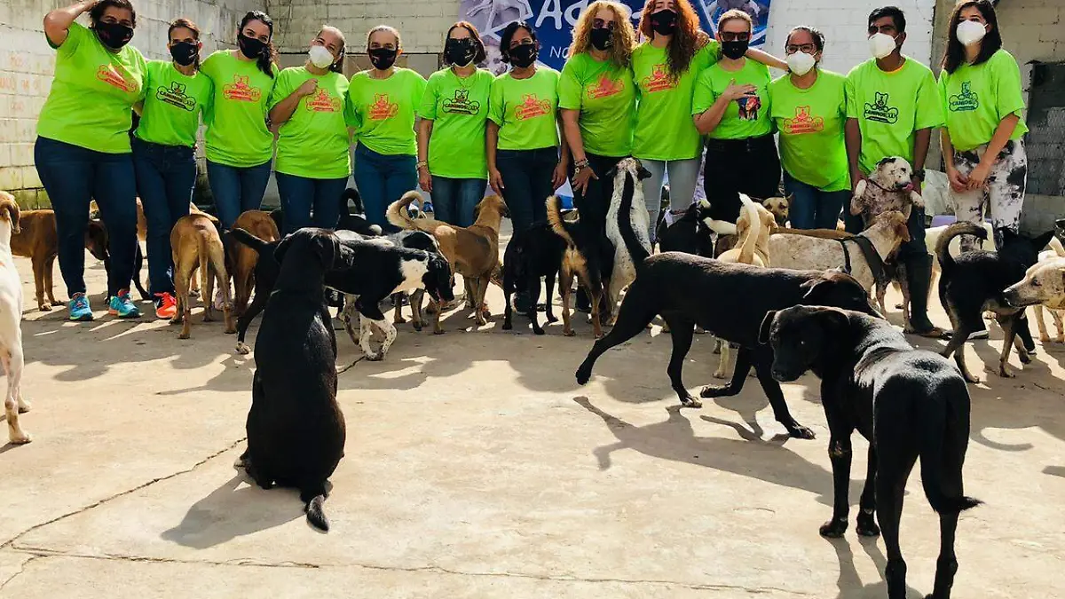 48c2bc5f-e440-474d-87d5-c2c484a1461f