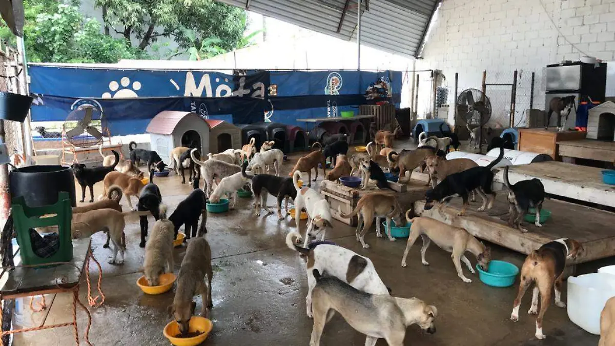 e4e55fc3-35c7-40d3-ad95-481160205185