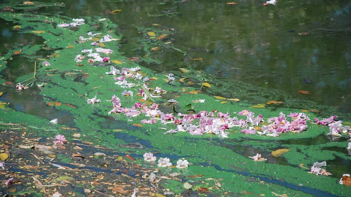 Laguna de las Ilusiones