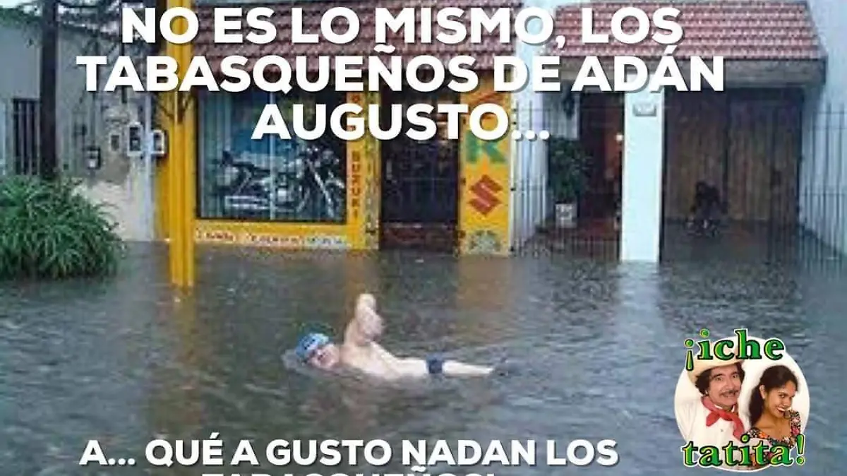 1bdbfe13-b930-49b3-b3b4-3339497bdc0f