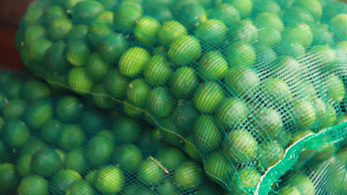 Bulto de limón rebasa los 60 pesos en Tabasco