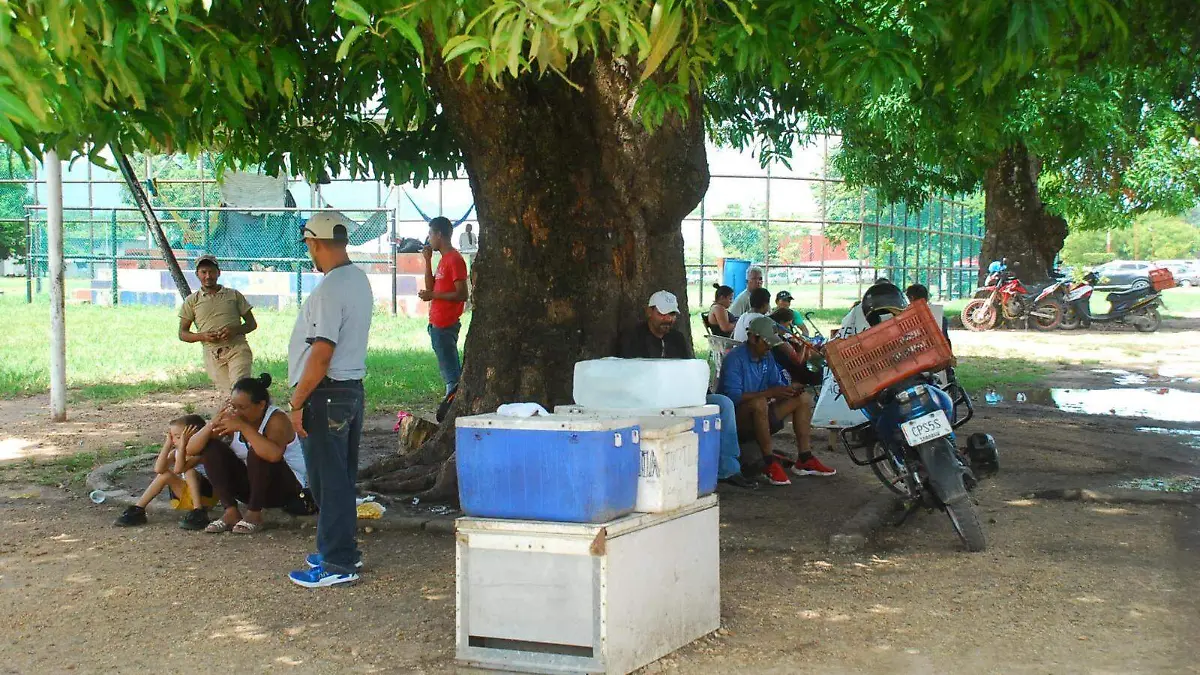 WhatsApp Image 2023-07-26 at 3.28.52 PM (1)