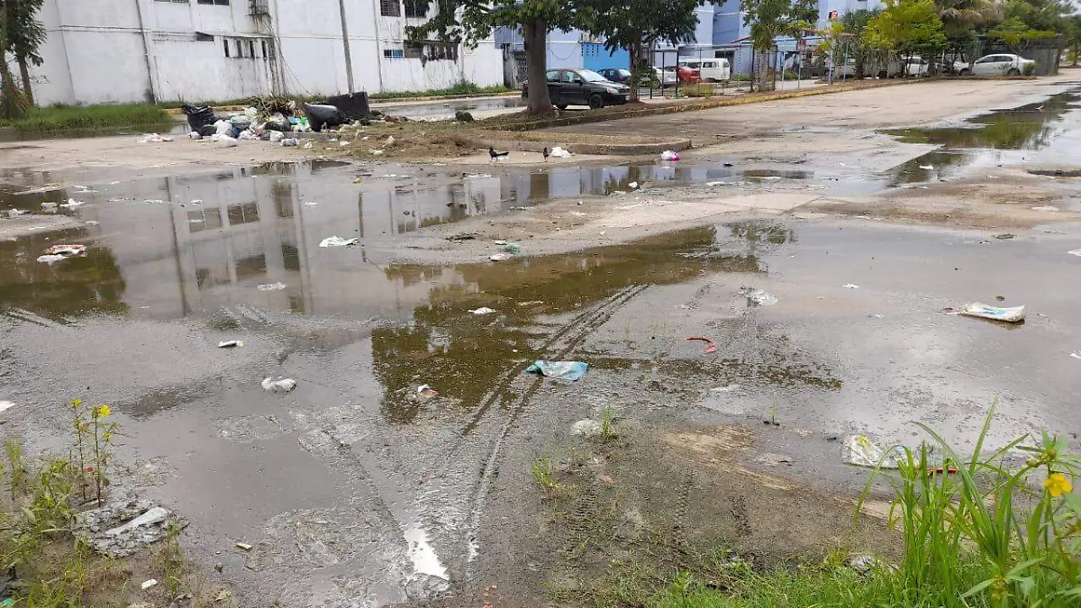 e92b9421-52c6-47dc-8666-75cfcb6ce403