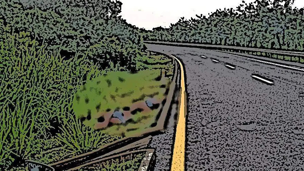 11a64251-8072-487d-a4c1-8d46458976e4