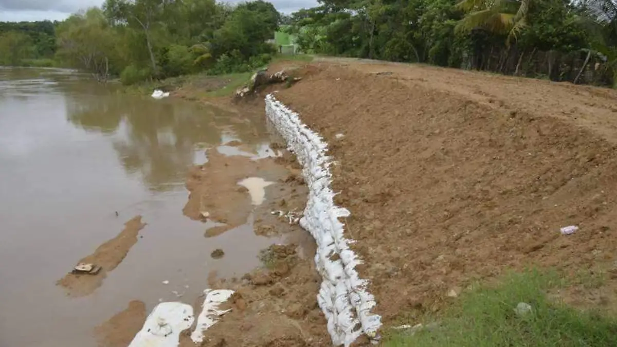 5240c568-bc9e-4538-9c0c-f622168e027f