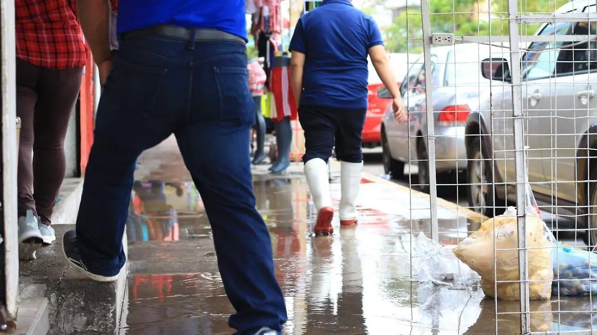 a3b121ec-3b30-4a10-b8da-246bd629b35a