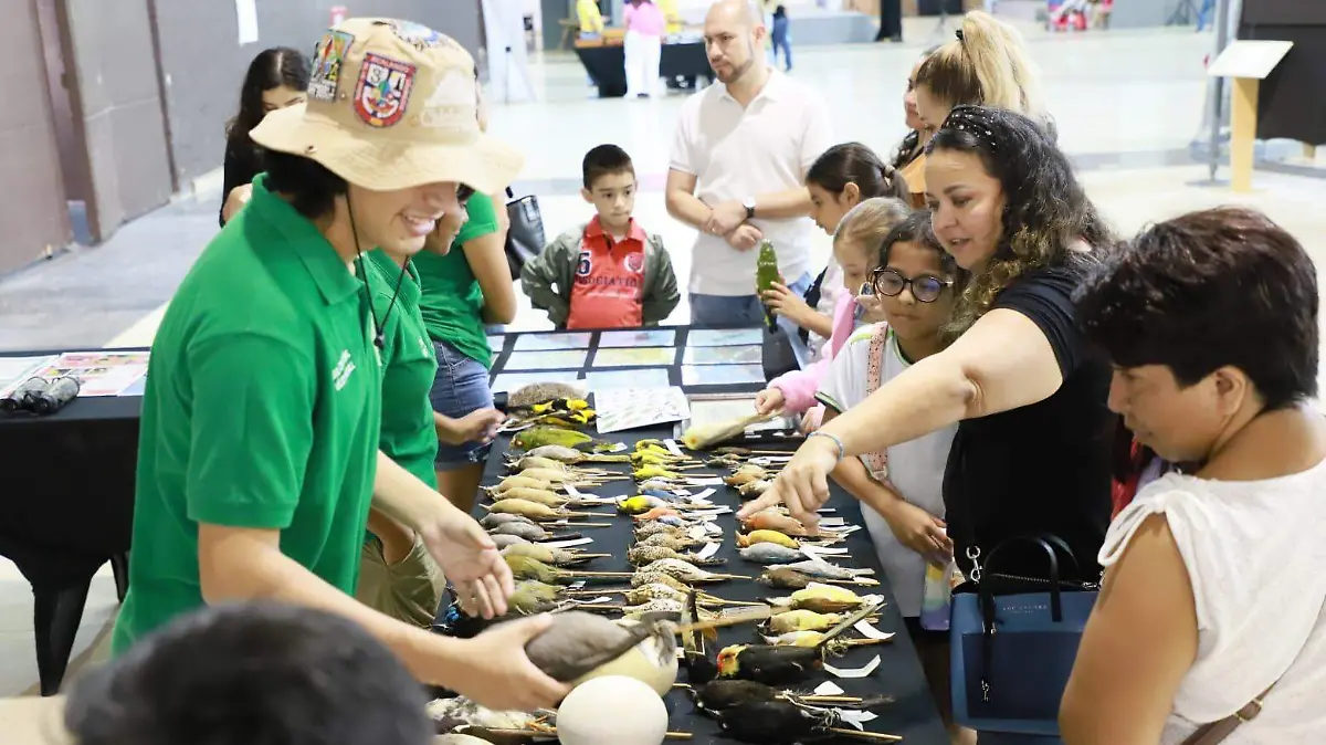 WhatsApp Image 2023-09-10 at 6.29.13 PM