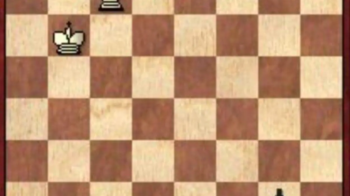 Image 2022-09-12 at 4.00.52 PM