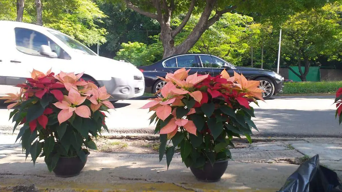 a5b2650f-b8d6-46ce-a074-98273505f454