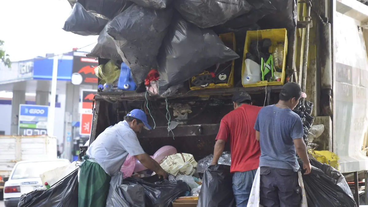 LOS RECOLECTORE DE BASURA SE PARAN LA BASURA DE LAS COSAS QUE VENDEN-JCH (4)