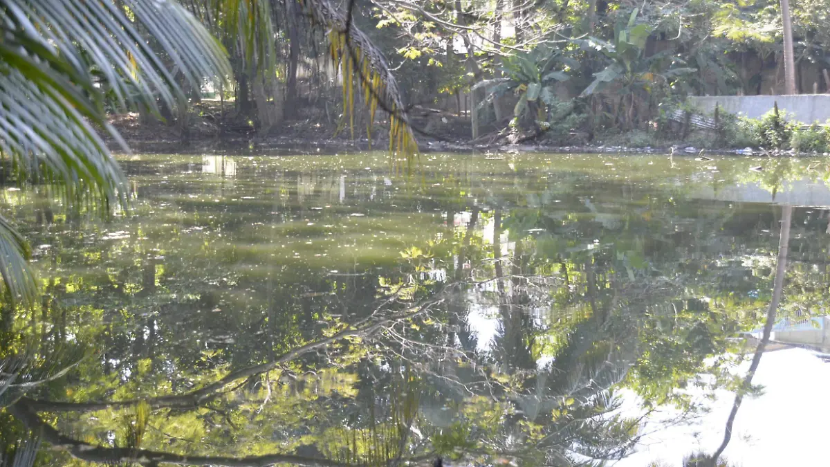 Reactiva Semarnat proyecto del gobierno de Tabasco para rescatar la Laguna de las Ilusiones