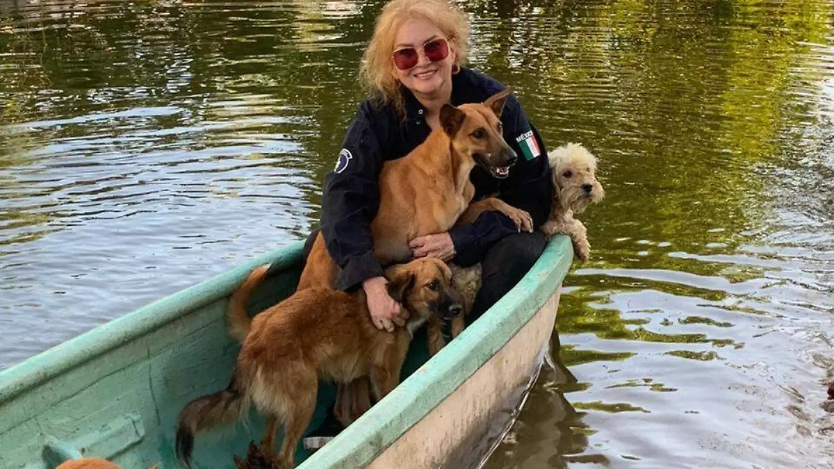 074d23b9-c949-47a1-9e8a-fe28ecbce471