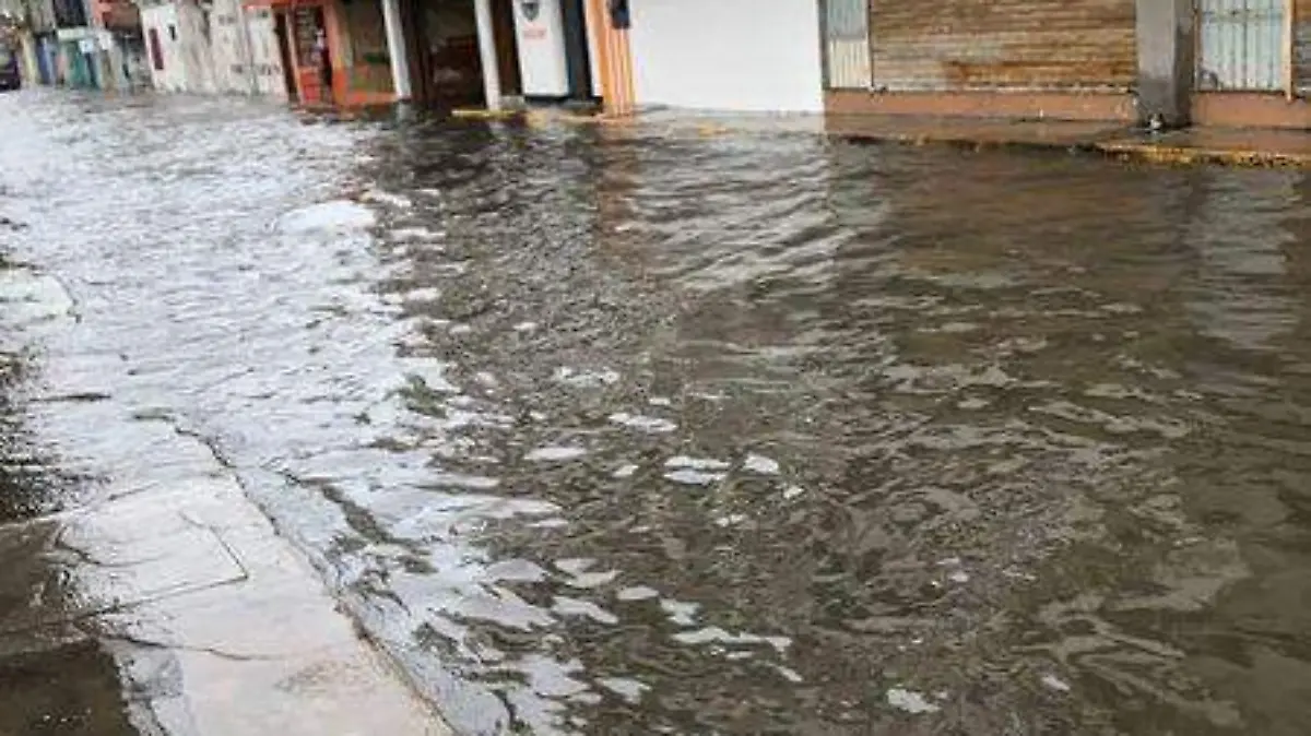 c6c80d19-a7d1-4af6-9e5c-55b858f236aa