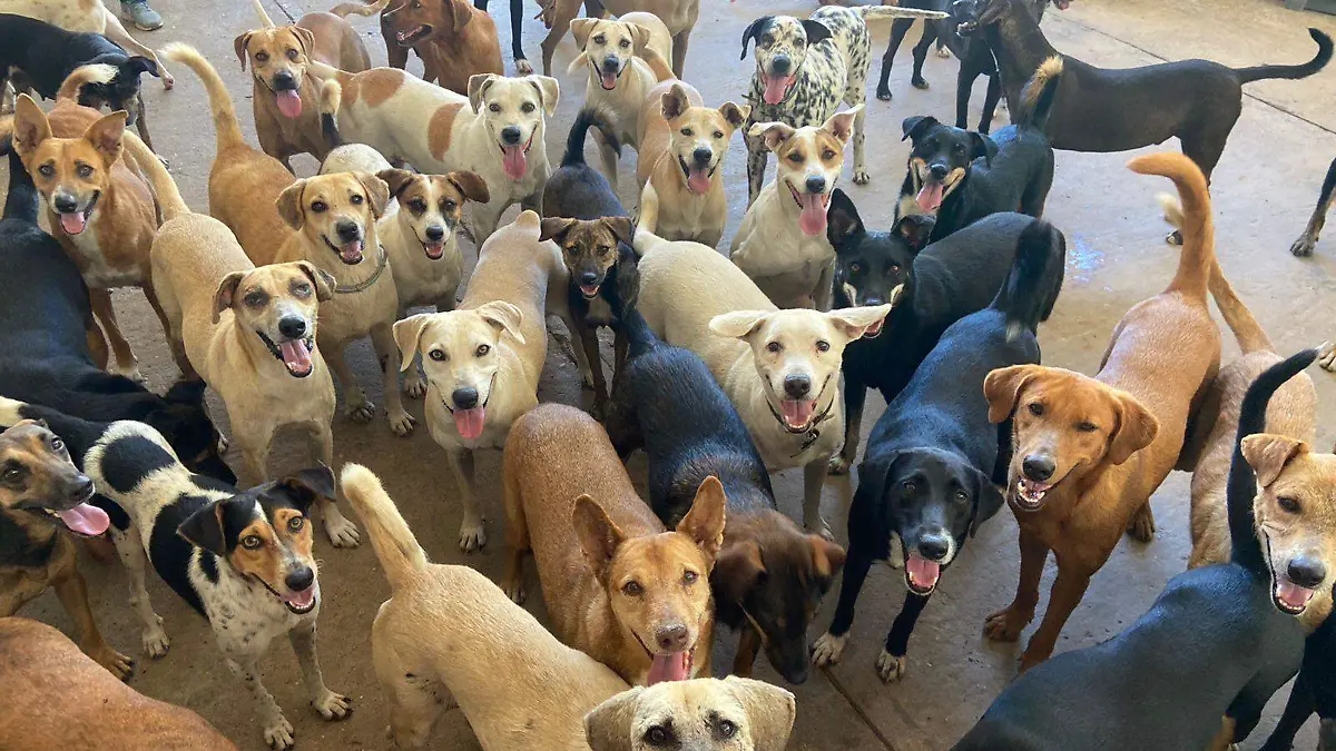 811b9be9-7e3b-49ad-825e-7325fb8f99dc