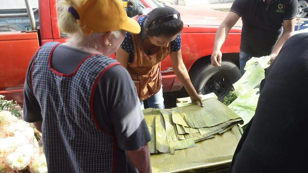 067f2bad-8192-4d0b-badd-f1e88ab7d443