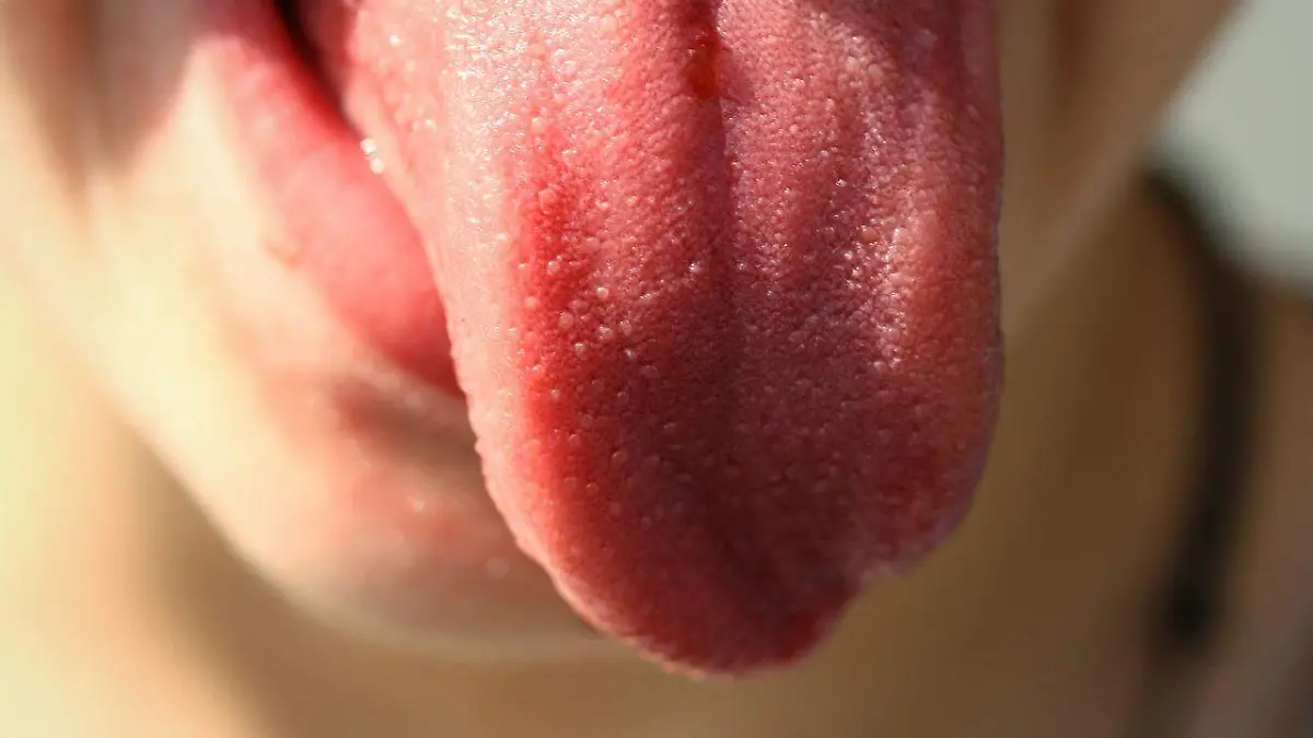 tongue-gb2acf58d1_1280