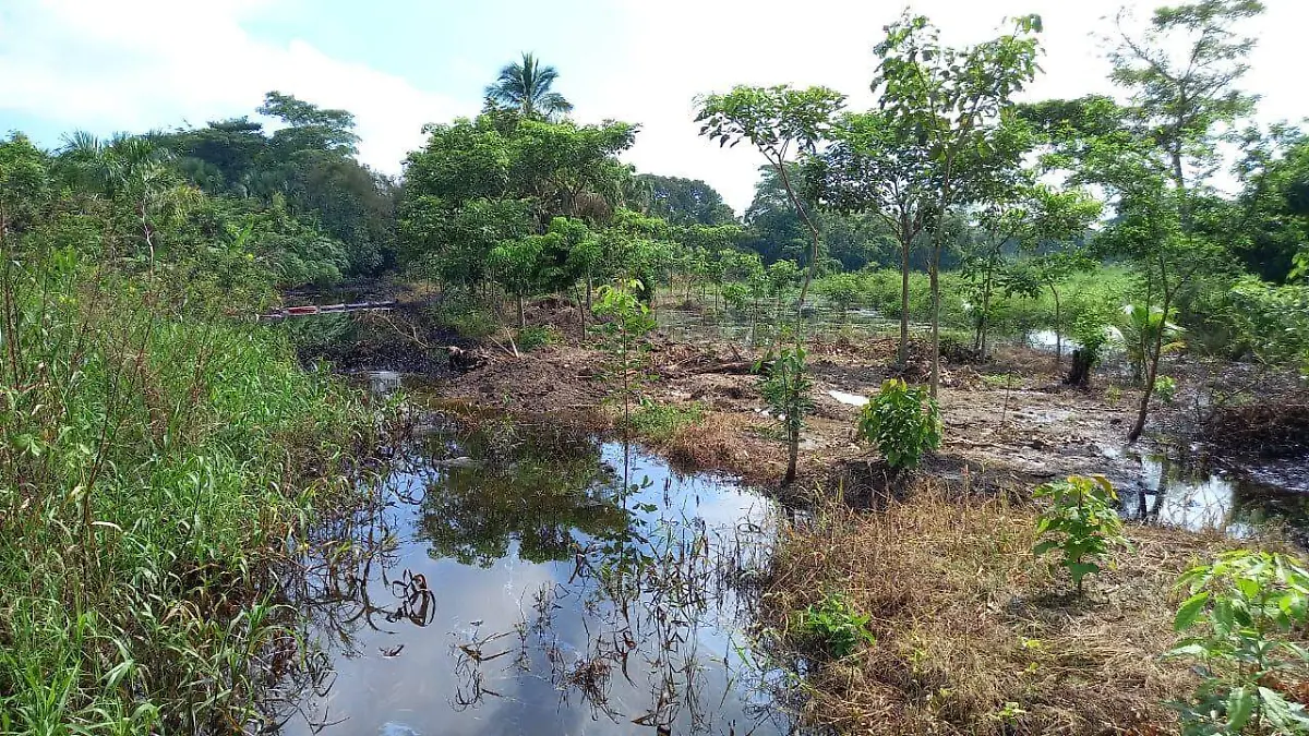 Continúan las afectaciones del derrame de Pemex en sector Amatales