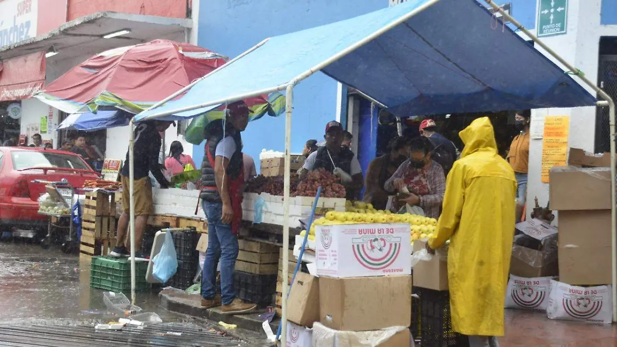Incrementa venta de frutas de temporada en Tabasco