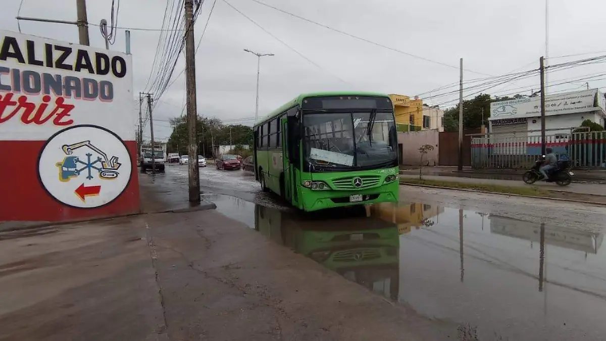 transbus
