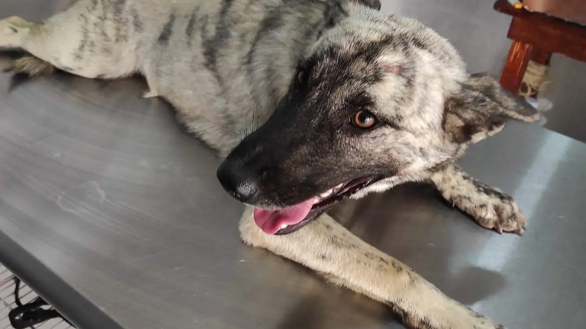 b8d9872e-663e-4e98-b3d5-23234cd28920