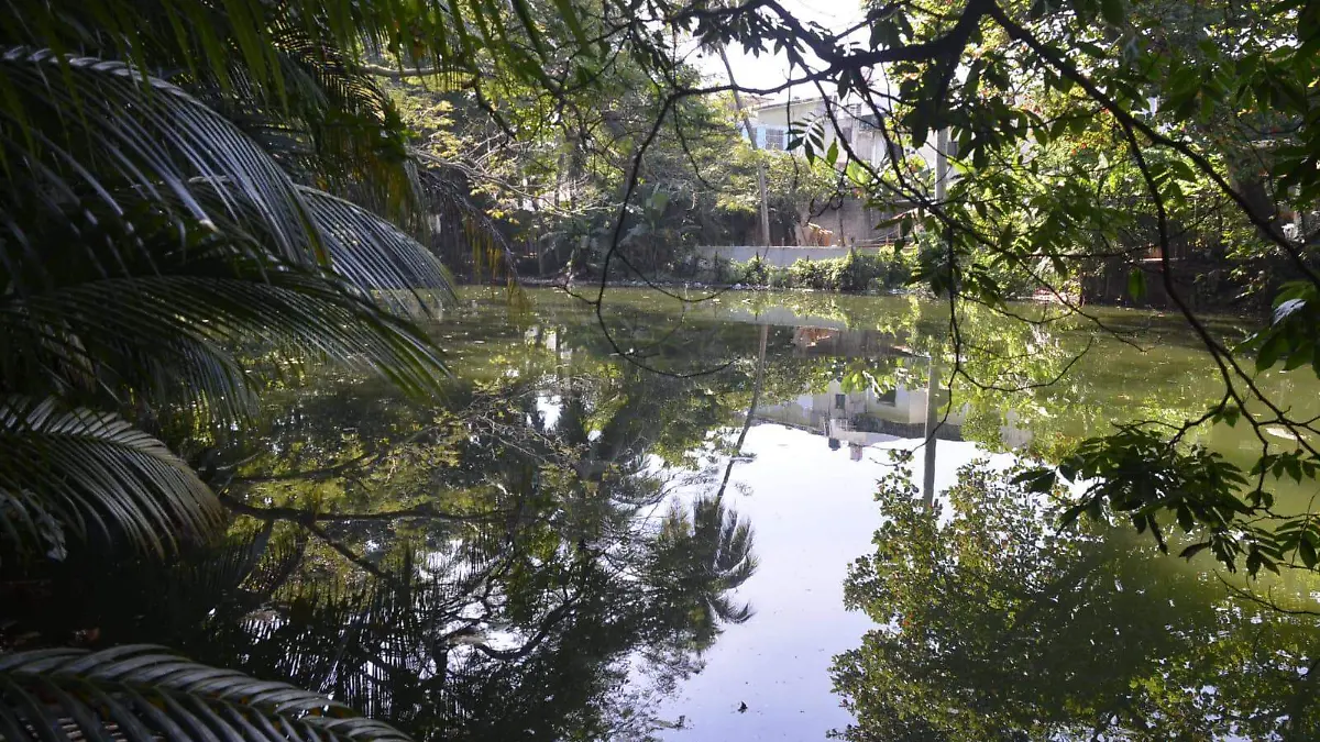 9449dc1b-1988-48cb-9d85-3533ddd2d08a