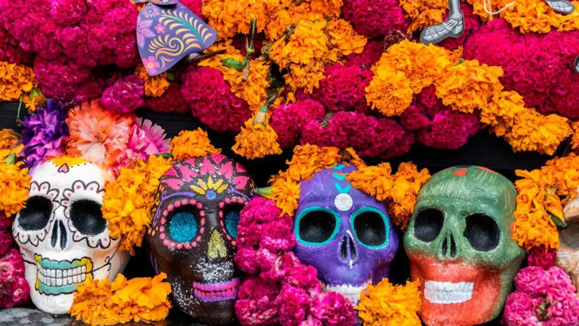 flores-dia-de-muertos