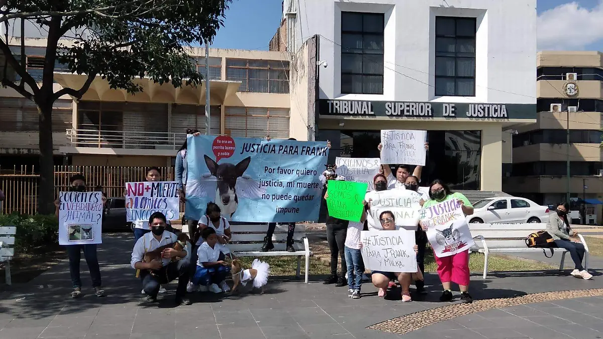 2bdbb320-bdec-4787-83a0-1bd1617387ae