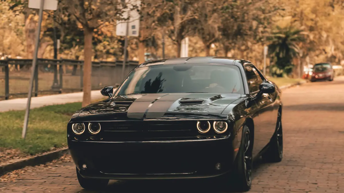 florian-schneider-799KfBloSFQ-unsplash