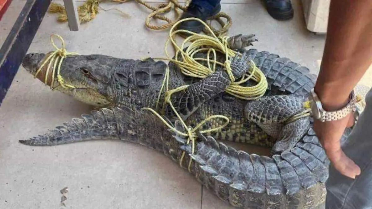 5373195b-5546-452d-8ef0-d8012eecbcdc