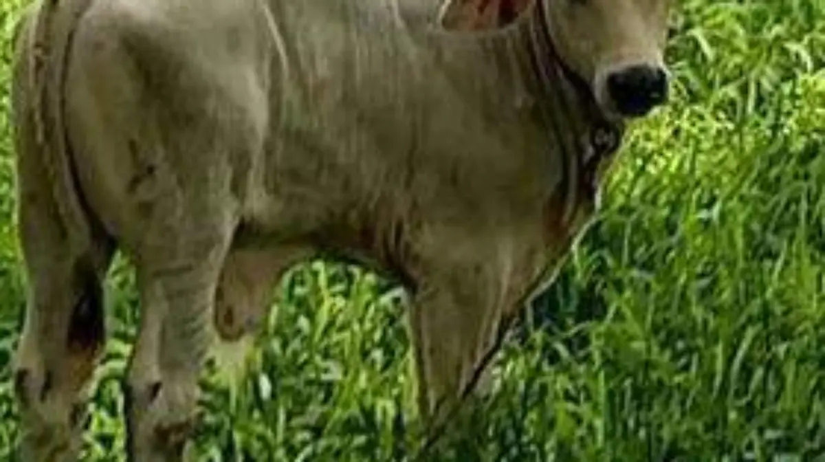 271786400_695905608485417_8178172471225881014_n