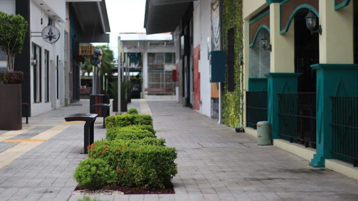 Inversión extranjera