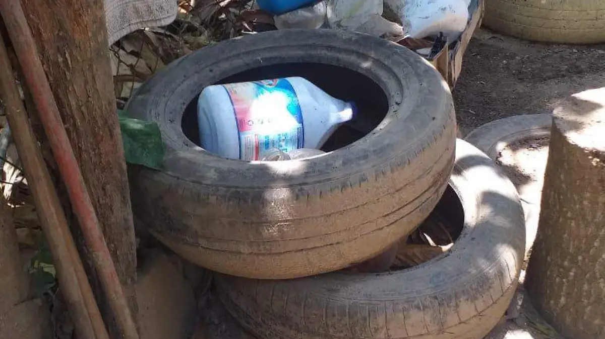 e87b0541-c68f-4951-ba16-a5117dd33dd6