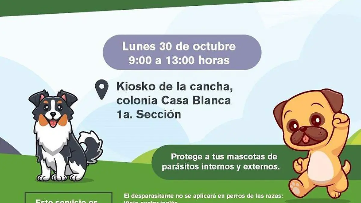 396724740_327569793240717_9116533516415145814_n